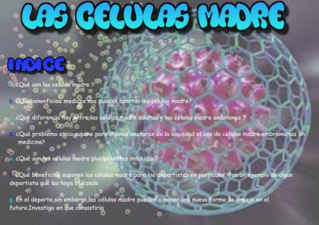 A. ¿Qué son las celulas madre ? b. ¿Québenenficios medicos nos pueden aportar las celulas madre? c. ¿Qué diferencia hay entre las células madre adultas.