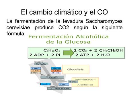 El cambio climático y el CO La fermentación de la levadura Saccharomyces cerevisiae produce CO2 según la siguiente fórmula: