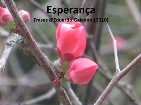 Esperança Frases d’Eduardo Galeano (2010) 2016 .