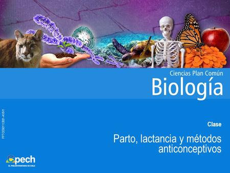 PPTCES011CB31-A16V1 Clase Parto, lactancia y métodos anticonceptivos.