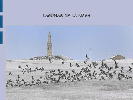 LAGUNAS DE LA NAVA ¡¡NOS VAMOS A LAS LAGUNAS!!. PAISAJE TERRACAMPINO ● La meseta norte es una enorme planicie que se eleva 750 metros sobre el nivel del.