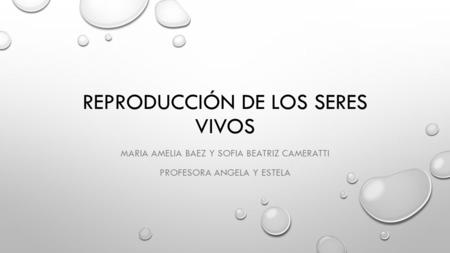 REPRODUCCIÓN DE LOS SERES VIVOS MARIA AMELIA BAEZ Y SOFIA BEATRIZ CAMERATTI PROFESORA ANGELA Y ESTELA.