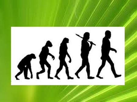 Pruebas de la evolución y el origen de nuevas especies.