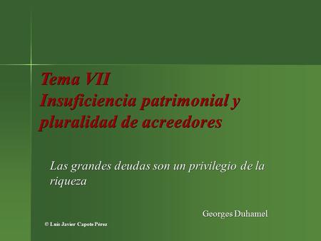 Tema VII Insuficiencia patrimonial y pluralidad de acreedores Las grandes deudas son un privilegio de la riqueza Georges Duhamel © Luis Javier Capote Pérez.