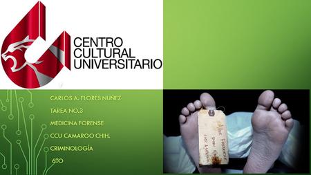 , CARLOS A. FLORES NUÑEZ TAREA NO.3 MEDICINA FORENSE CCU CAMARGO CHIH. CRIMINOLOGÍA 6TO 6TO.