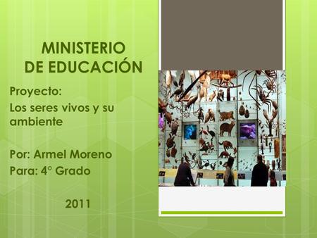MINISTERIO DE EDUCACIÓN Proyecto: Los seres vivos y su ambiente Por: Armel Moreno Para: 4° Grado 2011.