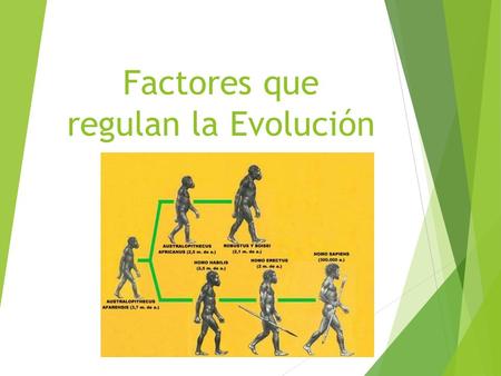 Factores que regulan la Evolución. Introducción  Una evolución biológica, es un conjunto de cambios o transformaciones ocurrido en un ser vivo, los cuales,