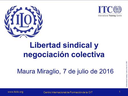© International Training Centre of the ILO 2007  Centro Internacional de Formación de la OIT 1 Libertad sindical y negociación colectiva.