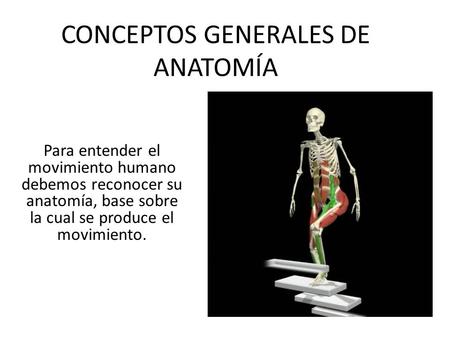 CONCEPTOS GENERALES DE ANATOMÍA Para entender el movimiento humano debemos reconocer su anatomía, base sobre la cual se produce el movimiento.