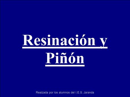 Resinación y Piñón Realzada por los alumnos del I.E.S. Jaranda.