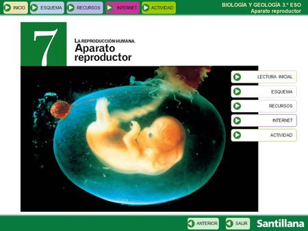 BIOLOGÍA Y GEOLOGÍA 3.º ESO Aparato reproductor INICIOESQUEMARECURSOSINTERNETACTIVIDAD LECTURA INICIAL ESQUEMA RECURSOS INTERNET ACTIVIDADSALIRANTERIOR.