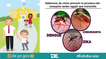 Hablemos de cómo prevenir la picadura del mosquito aedes agypti que transmite.