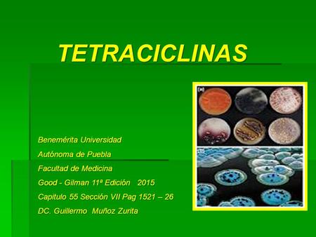 Benemérita Universidad Autónoma de Puebla Facultad de Medicina Good - Gilman 11ª Edición 2015 Capitulo 55 Sección VII Pag 1521 – 26 DC. Guillermo Muñoz.
