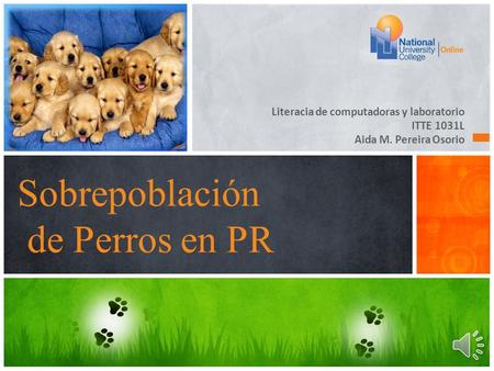 Literacia de computadoras y laboratorio ITTE 1031L Aida M. Pereira Osorio Sobrepoblación de Perros en PR.