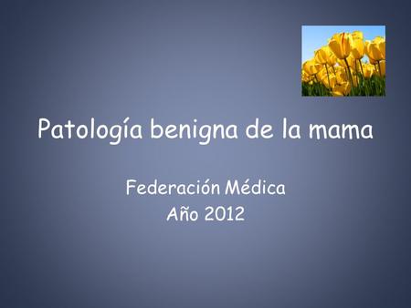 Patología benigna de la mama Federación Médica Año 2012.