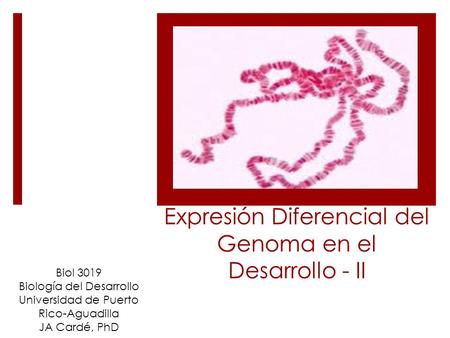 Expresión Diferencial del Genoma en el Desarrollo - II Biol 3019 Biología del Desarrollo Universidad de Puerto Rico-Aguadilla JA Cardé, PhD.