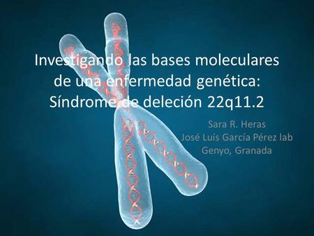 Investigando las bases moleculares de una enfermedad genética: Síndrome de deleción 22q11.2 Sara R. Heras José Luís García Pérez lab Genyo, Granada.