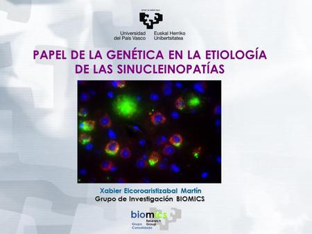 Xabier Elcoroaristizabal Martín Xabier Elcoroaristizabal Martín Grupo de Investigación BIOMICS PAPEL DE LA GENÉTICA EN LA ETIOLOGÍA DE LAS SINUCLEINOPATÍAS.