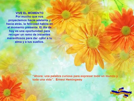 VIVE EL MOMENTO Por mucho que nos proyectemos hacia adelante y hacia atrás, la felicidad habita en el momento presente. El día de hoy es una oportunidad.