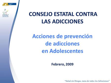 CONSEJO ESTATAL CONTRA LAS ADICCIONES Acciones de prevención de adicciones en Adolescentes Febrero, 2009.