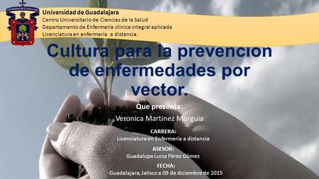 TÍTULO Cultura para la prevención de enfermedades por vector. Que presenta: Veronica Martinez Murguia Universidad de Guadalajara Centro Universitario de.