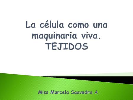 Miss Marcela Saavedra A.. Un organismo pluricelular o multicelular es aquél que está constituido por más de una célula las cuales están especializadas,