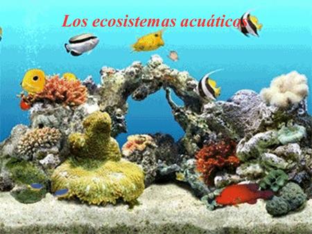 Los ecosistemas acuáticos