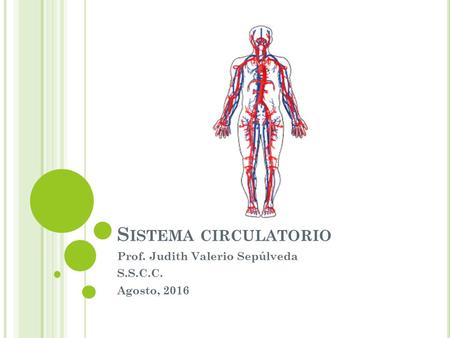 S ISTEMA CIRCULATORIO Prof. Judith Valerio Sepúlveda S.S.C.C. Agosto, 2016.