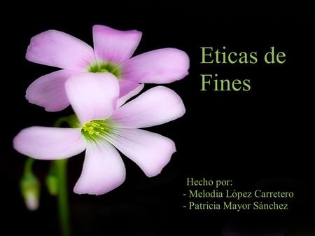 Eticas de Fines h Hecho por: - Melodia López Carretero - Patricia Mayor Sánchez.