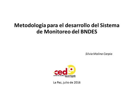 Metodología para el desarrollo del Sistema de Monitoreo del BNDES La Paz, julio de 2016 Silvia Molina Carpio.
