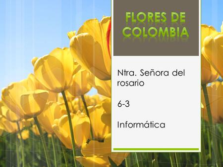 Ntra. Señora del rosario 6-3 Informática. La flor es la estructura reproductiva característica de las plantas llamadas espermatofitas o fanerógamas. La.