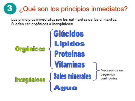 3 ¿Qué son los principios inmediatos? Los principios inmediatos son los nutrientes de los alimentos. Pueden ser orgánicos o inorgánicos: Necesarios en.