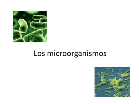Los microorganismos. CARACTERISTICAS Los microorganismos son organismos vivos microscópicos, constituidos por una única célula UNICELULAR PLURICELULAR.