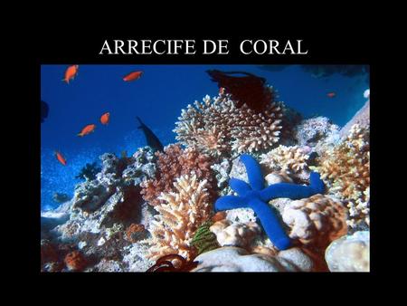 ARRECIFE DE CORAL. Un arrecife de coral o arrecife coralino es un tipo de arrecife biótico que se desarrolla en aguas tropicales. Son estructuras sólidas.