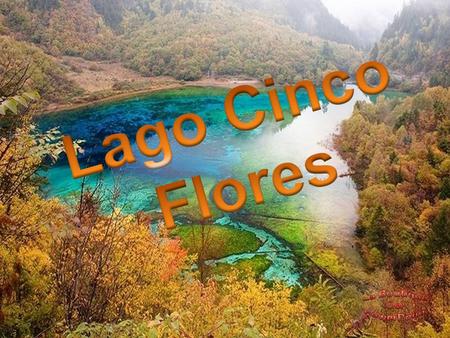 O Lago Cinco Flores está localizado na área central do Parque e Reserva Natural de Jiuzhaigou, na província de Sichuan, na China. O parque é patrimônio.