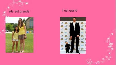 Elle est grande il est grand. elle est sympathiqueil est sympathique.