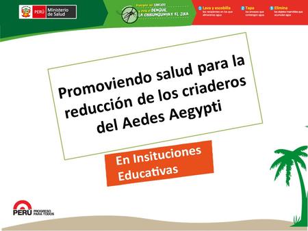 Promoviendo salud para la reducción de los criaderos del Aedes Aegypti.