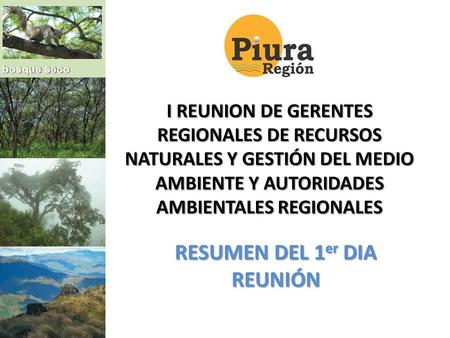 I REUNION DE GERENTES REGIONALES DE RECURSOS NATURALES Y GESTIÓN DEL MEDIO AMBIENTE Y AUTORIDADES AMBIENTALES REGIONALES RESUMEN DEL 1 er DIA REUNIÓN.