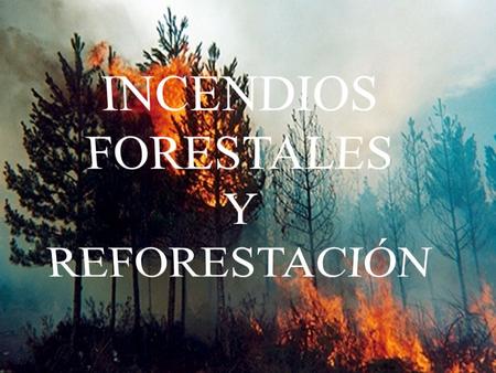 ¿Que son los incendios forestales ? Son fuegos naturales o provocados que queman la vegetación de un bosque. Los silvicultores suelen distinguir entre.