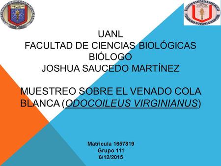 UANL FACULTAD DE CIENCIAS BIOLÓGICAS BIÓLOGO JOSHUA SAUCEDO MARTÍNEZ MUESTREO SOBRE EL VENADO COLA BLANCA (ODOCOILEUS VIRGINIANUS) Matricula 1657819 Grupo.