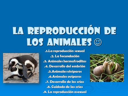 La reproducción de los animales La reproducción de los animales.1.La reproducción sexual.2. La fecundación.3. Animales hermafroditas.4. Desarrollo del.