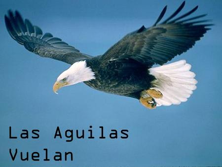 Las Aguilas Vuelan. Español Señora Rushing las vocales A E I O U.