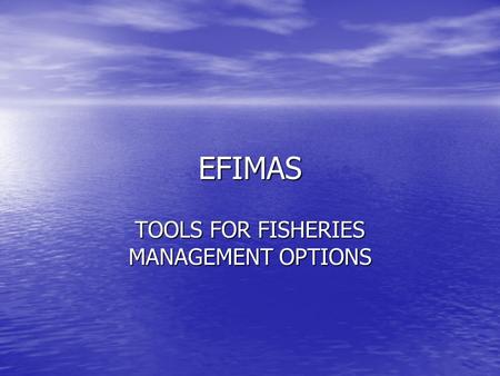 EFIMAS TOOLS FOR FISHERIES MANAGEMENT OPTIONS. Merluza norte Durante los ’90 el stock alcanzó sus valores más bajos (100.000 tn de biomasa de stock reproductor,