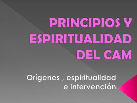 Como Misioneros Vicentinos, el CAM surge como proyecto para responder a una realidad de exclusión y pobreza situándose en medio de una problemática de.
