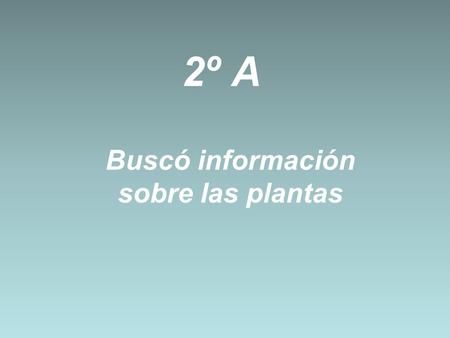 2º A Buscó información sobre las plantas. Las plantas Nico y Alan.