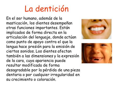 La dentición En el ser humano, además de la masticación, los dientes desempeñan otras funciones importantes. Están implicados de forma directa en la articulación.