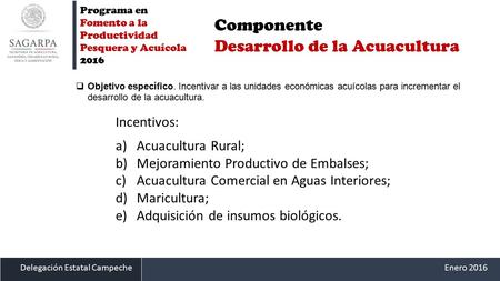 Delegación Estatal CampecheEnero 2016 Programa en Fomento a la Productividad Pesquera y Acuícola 2016 Componente Desarrollo de la Acuacultura  Objetivo.