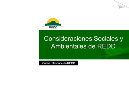 LOGO here Curso Introducción REDD Consideraciones Sociales y Ambientales de REDD.