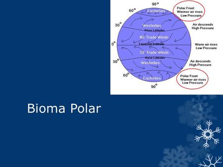 Bioma Polar. Importancia: Circulación termohalina Hielo sobre la Antartica tiene 25 millones de años. Contiene 75% del agua sobre el planeta Tierra 1956-1957: