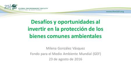 Desafíos y oportunidades al invertir en la protección de los bienes comunes ambientales Milena González Vásquez Fondo para el Medio Ambiente Mundial (GEF)